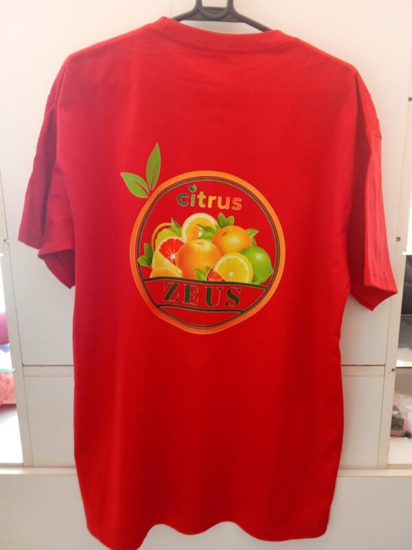Remera Algodón Clásica Adulto